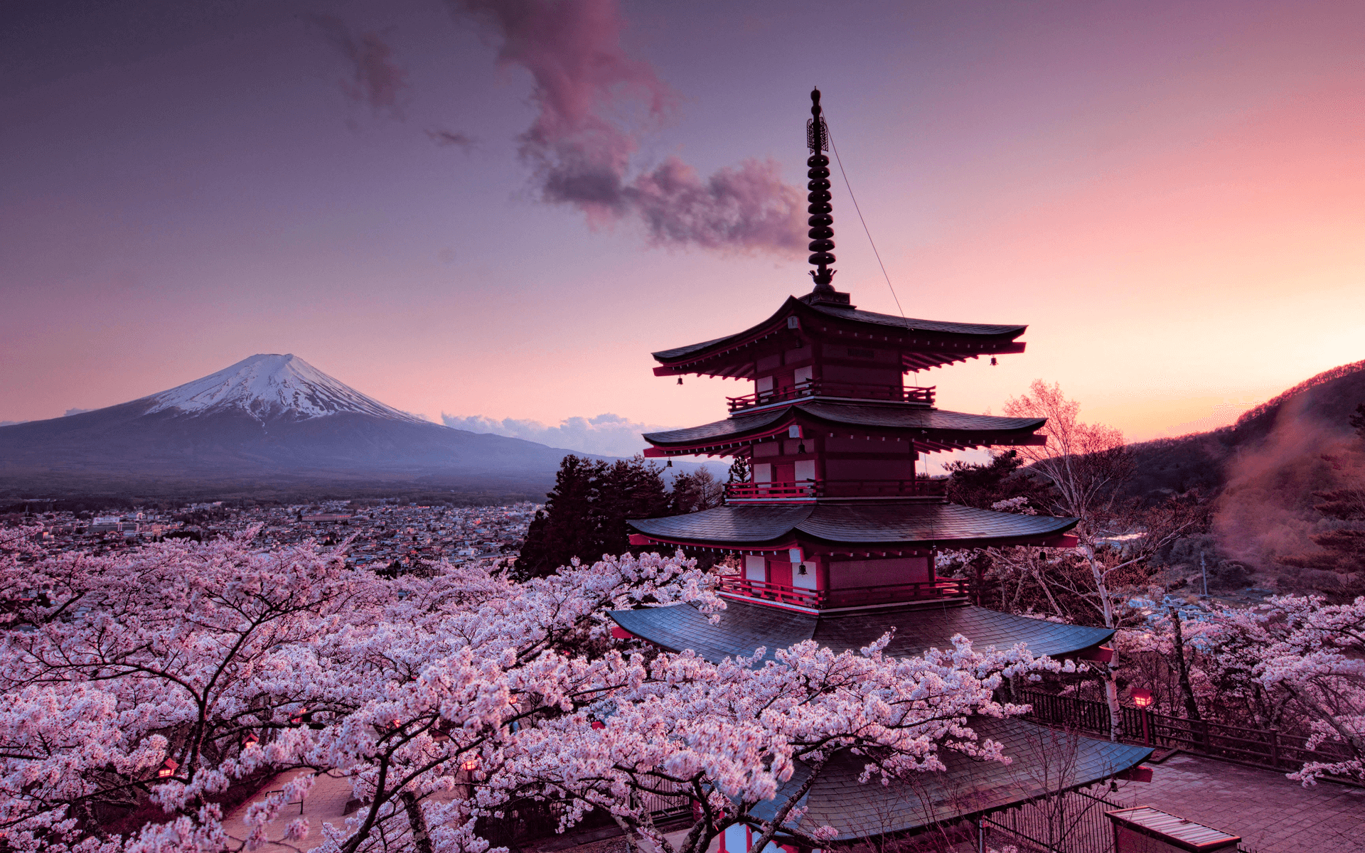 Tokyo Tales: A Cultural Feast in Japan’s Capital